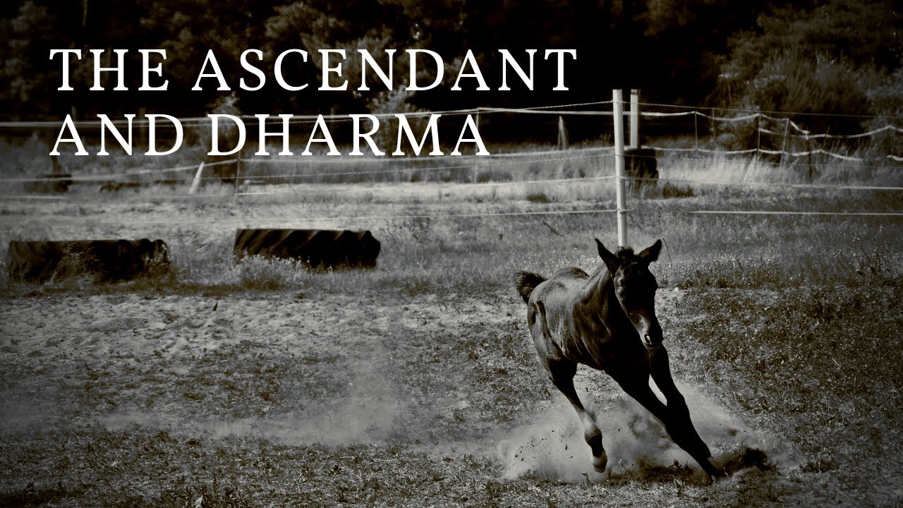 Q&A: The Ascendant and Dharma