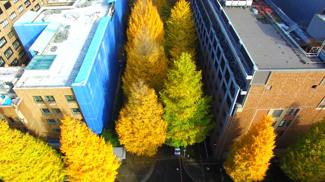 Introduction to III / GSII, The University of Tokyo