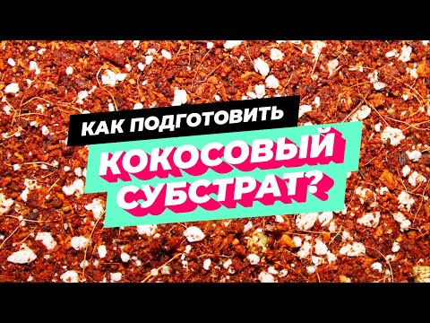 Video: Potrebuje canna coco perlit?