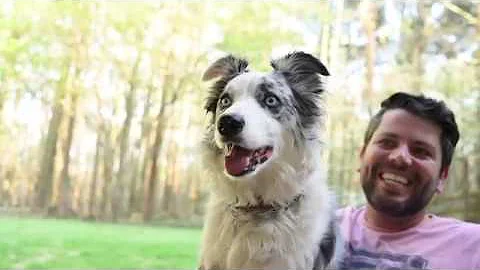 The Best Lesson I Learned From My Dog!