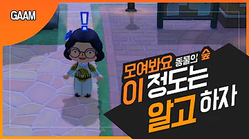 모동숲 공략 모동숲 공략