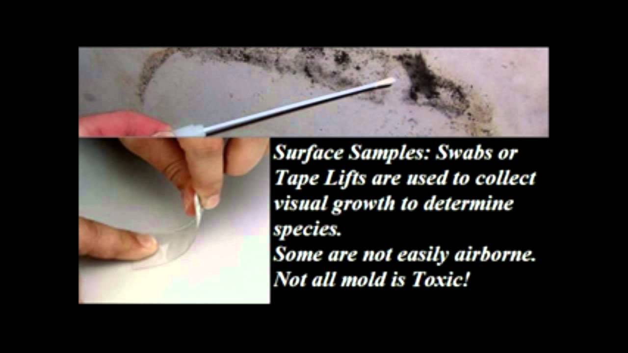 Chicago Mold Testing YouTube