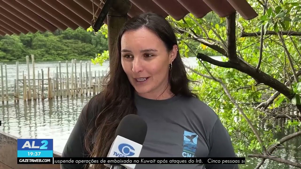 Filhote de peixe-boi nasce no Rio Tatuamunha em Porto de Pedras -  05/03/2026