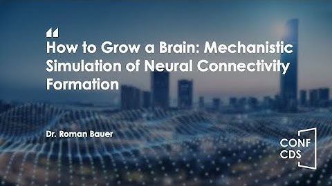 CONF-CDS 2025—How to Grow a Brain: Mechanistic Simulation of Neural Connectivity Formation