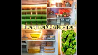 My Fridge Tour | Hitachi Double Door Fridge Tour | How To Preserve Useful Things | Imp Tips & Tricks