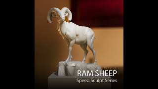 Speed Sculpt Zbrush - #animal #ram  #art #timelapse #cg #cgi #vfx #zbrush #sculpting #modeling