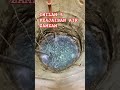 INILAH LIMA KEAJAIBAN AIR ZAMZAM #airzamzam #khasiat #shorts