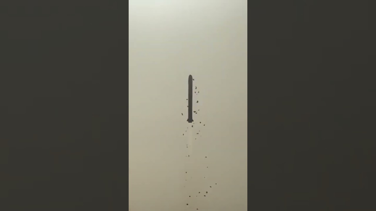 Insane footage of Chinese Long March-2D blasted to space