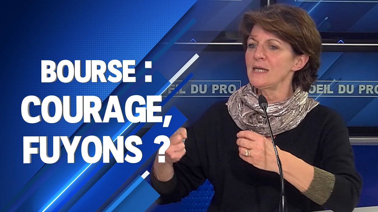 Bourse : courage, fuyons ?