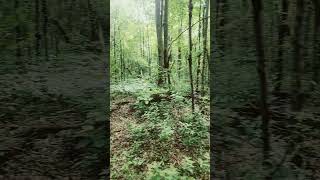 CAN'T WAIT UNTIL OCTOBER 1ST(I DO NOT OWN THE COPYRIGHT TO THIS SONG OR MUSIC
