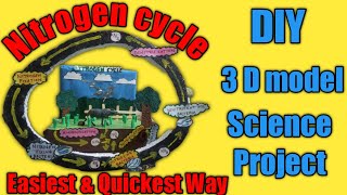 Nitrogen Cycle 3 D Model | School Science Exhibition | Nitrogen Cycle Project | @deeptitalks