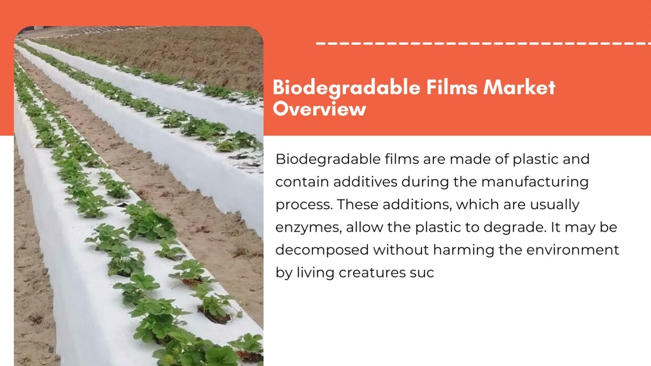 Biodegradable Films Market Size, Share | Exactitude Consultancy Reports