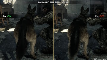 Call of Duty Ghosts PC PhysX Fur Demo