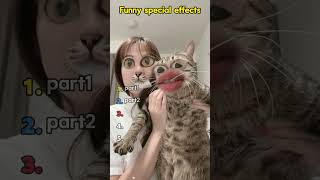 Funny effects on a cat's face.#cat #funny #pets #special efficacy