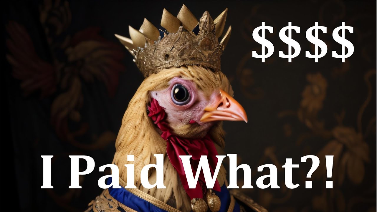 🐔 How Much Did My Deluxe Chicken Coop Cost? YouTube