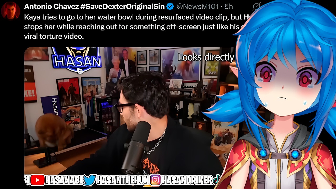 Господин Президент, собака испытала второй шок.