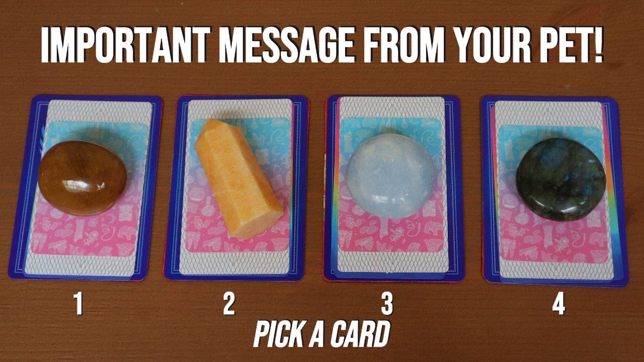 What your pet wants to tell you! 🐶🐰 Pick a Card 🐱🦜