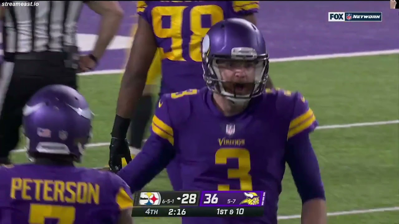 Vikings punter seals the Deal against Pittsburg ☢💣