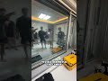 Все думали желтый проиграл