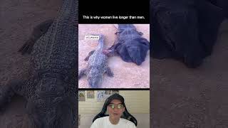 TryTry Not to Laugh Challenge For Shorts EP299