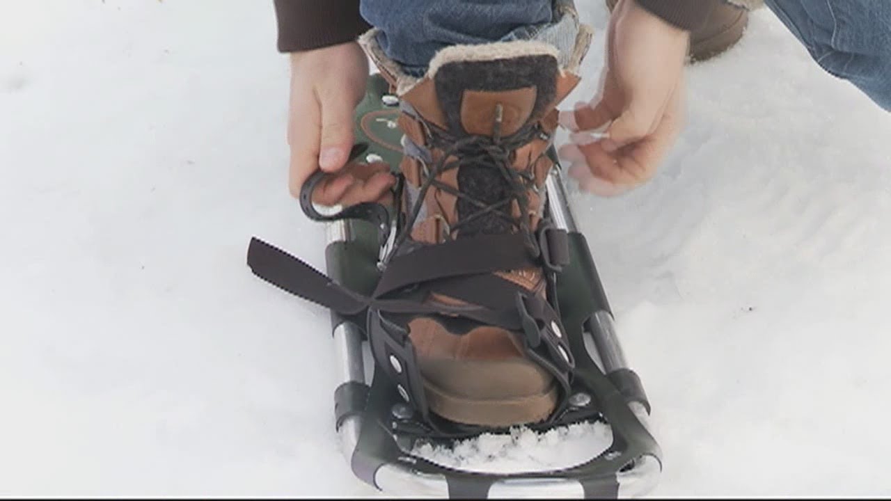 Snowshoeing at the Reinstein Woods Nature Preserve & Environmental Education Center