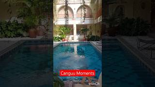 Indonesia | Canguu Moments #baliescape
