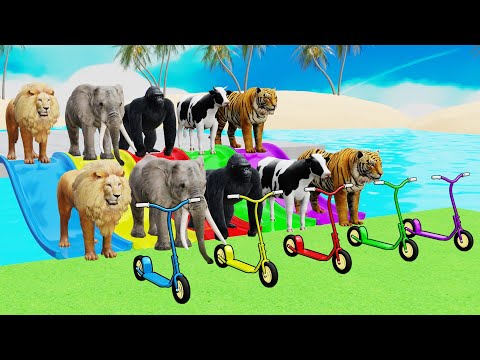 Long Slide Game With Elephant Gorilla Buffalo Hippopotamus Tiger - 3d Animal Game 