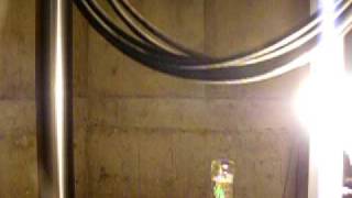 Celebrity elevator misuse v. crushing a glass bottle in the pit Net Worth