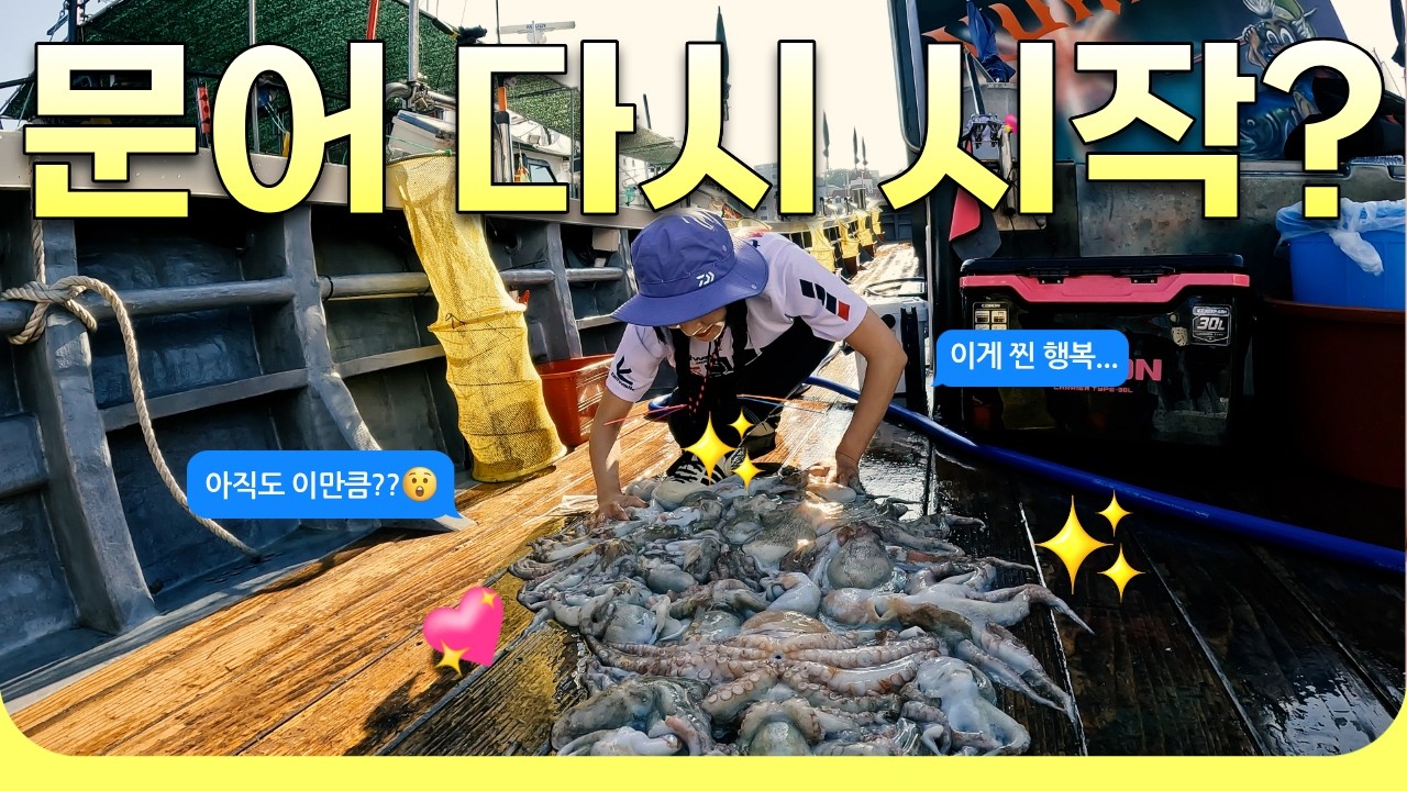 도대체 어딘데 문어가 이렇게 잘 나오지???