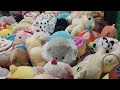 Finally getting the new reindeer from the Walmart claw machine