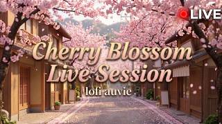 Cherry Blossom Live Session — Soft Lofi Beats for Studying & Relaxing screenshot 4