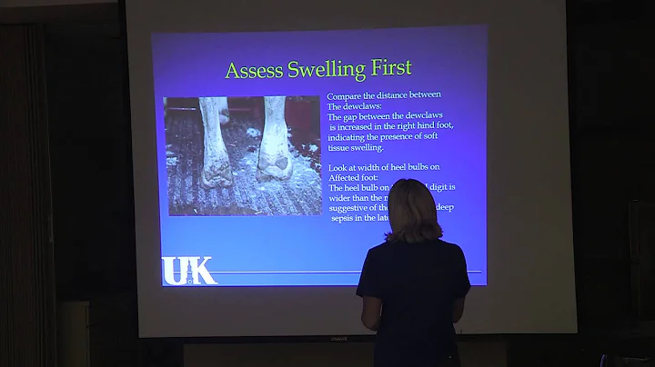 Pasture to Plate : Michelle Arnold's presentation ...