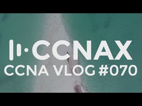 CCNA #070 Using Ostinato to prove how networks work for the CCNA Exam. Don't be bitten!