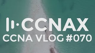CCNA #070 Using Ostinato to prove how networks work for the CCNA Exam. Don't be bitten!