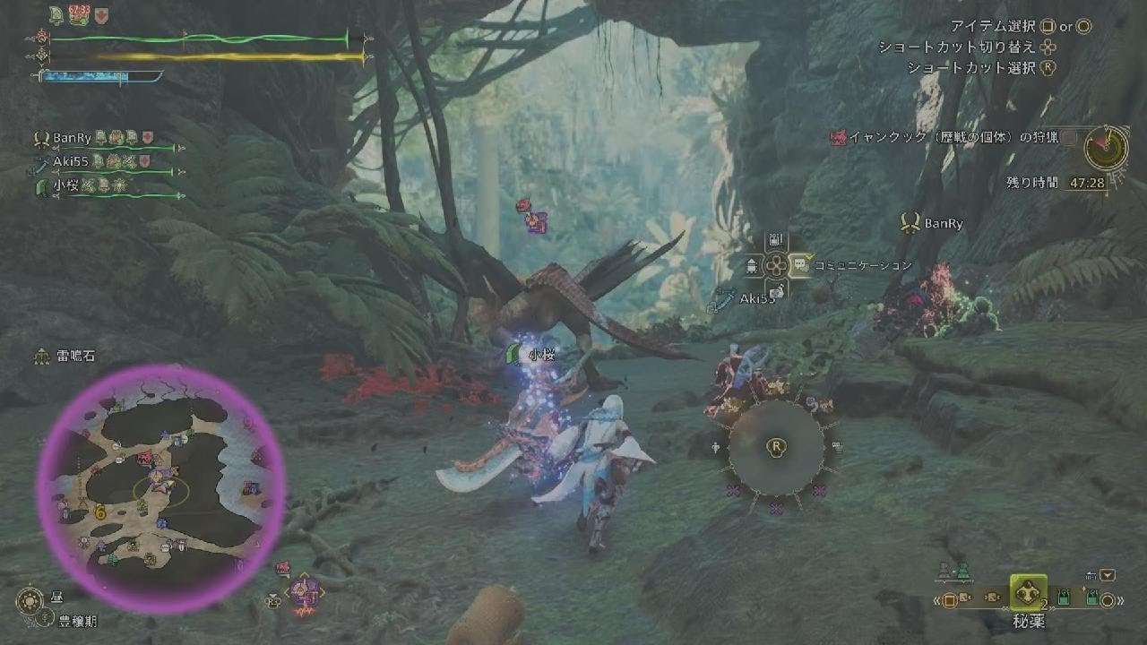 Monster Hunter Wilds イベント イャンクック先輩