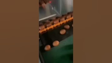 Laser marking on eggs