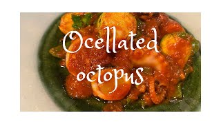 イイダコのトマト煮込み　ocellated octopus