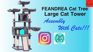 Feandrea Cat Tree Large Cat Tower...Assembly video with our Cats.