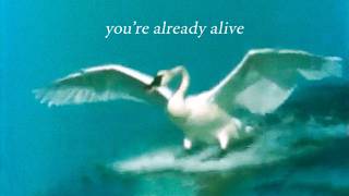 if you're reading this, you're already alive