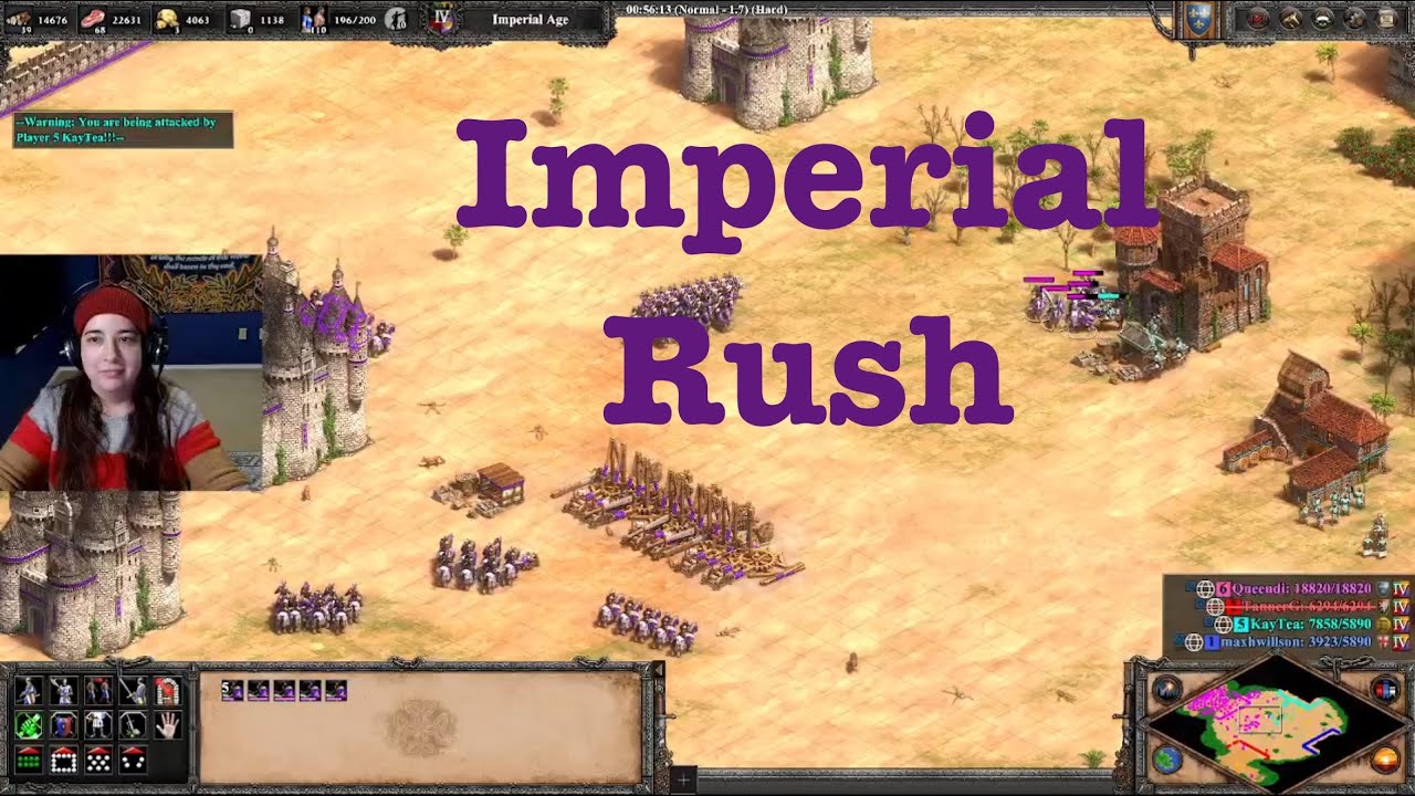 AoE2 - Imperial Age Rush!