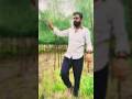 bhojpuri mood
