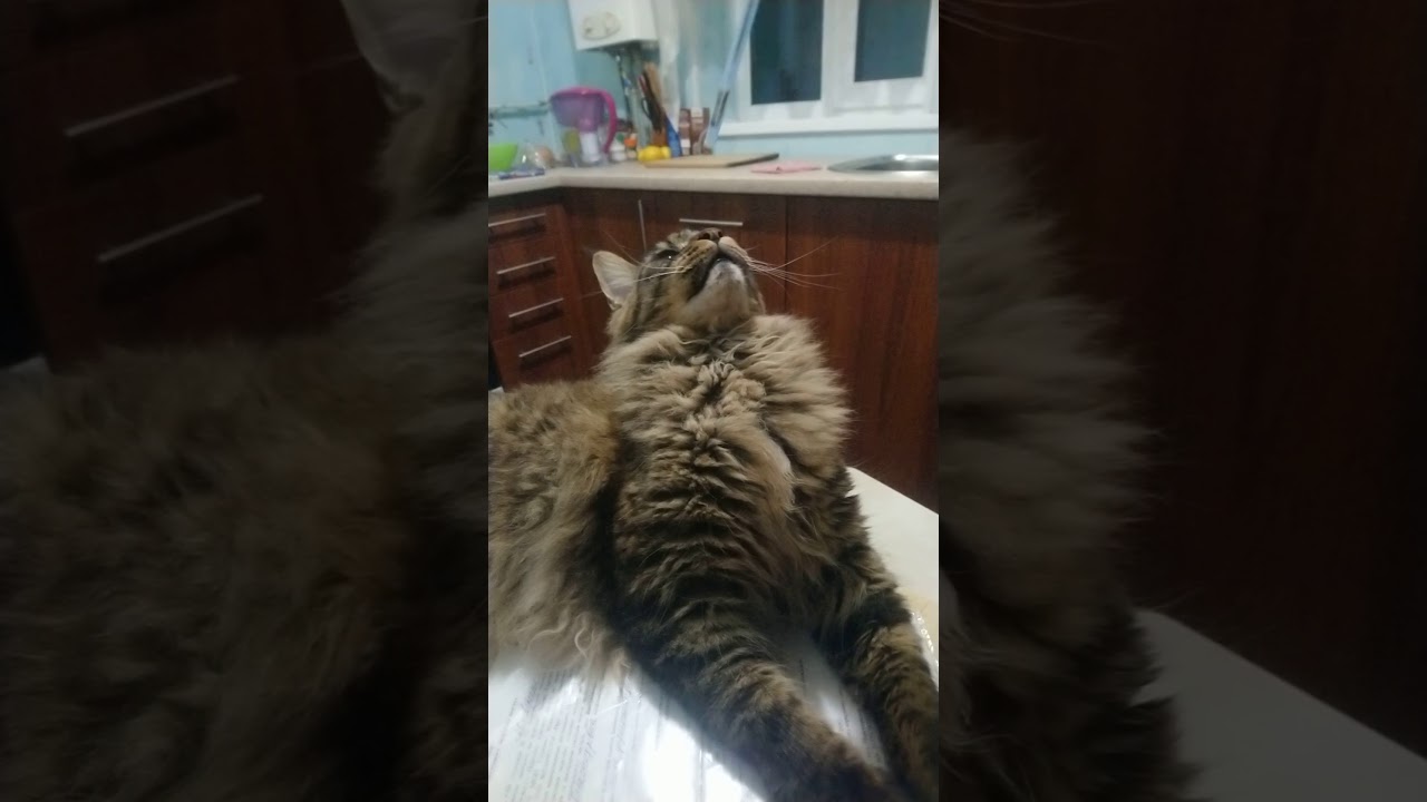 одиссей машина. - YouTube