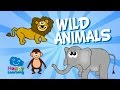 Aprende inglés. Los Animales Salvajes en Inglés. Videos Educativos para Niños
