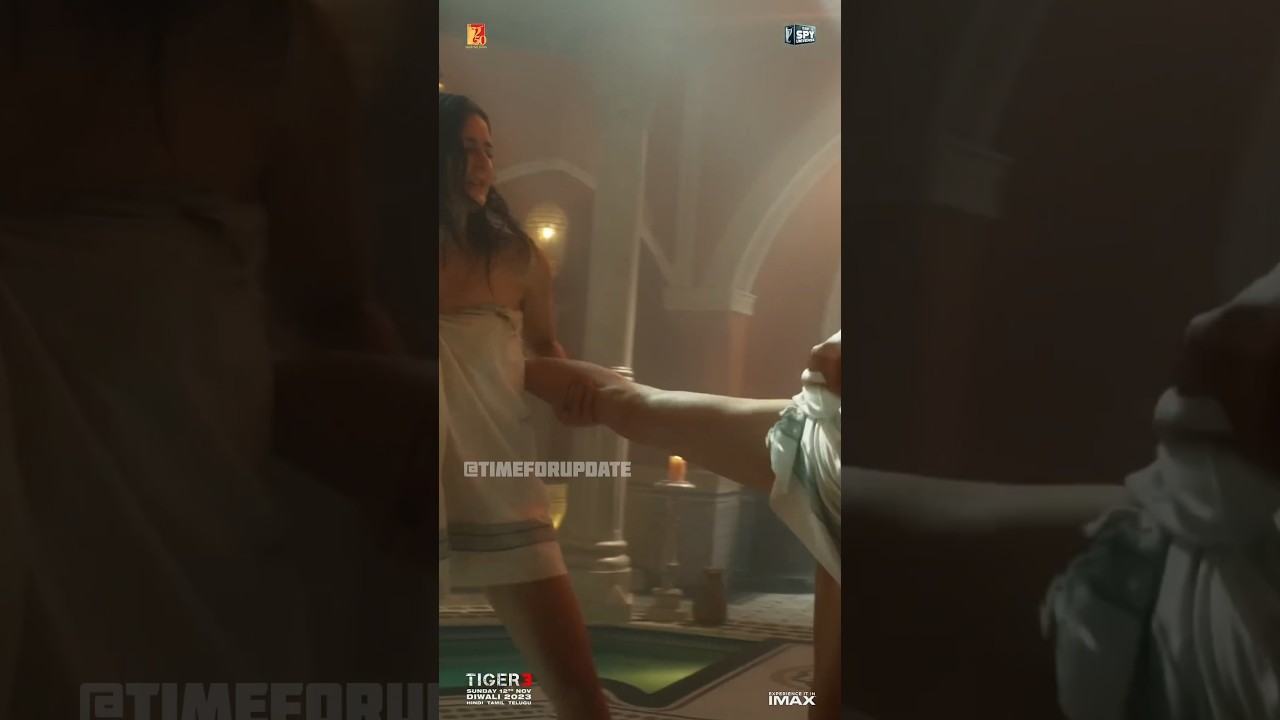 "TIGER 3" Fans Hangama 🎇🔥