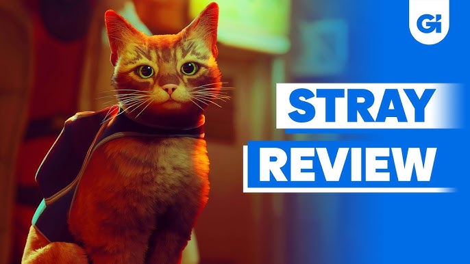 Stray, the cyberpunk cat adventure, has a lovable, believable cat hero -  Polygon