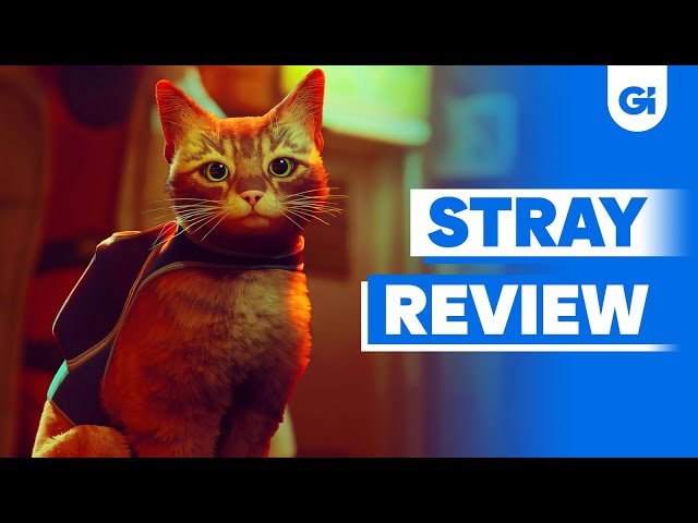 Stray review: Verdict on its gameplay, story, characters and more