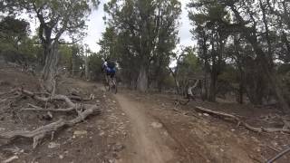 Career Overview Mountain Bike Eagle, CO Pool & Ice Rink