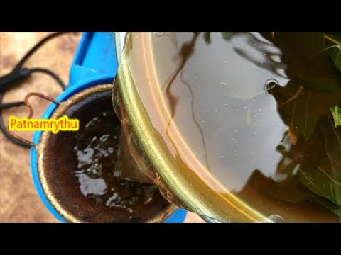 Free గా తయారు చేసే Herbal Tea మొక్కకు మంచి నూట్రిఎంట్ మరియు పెస్టిసైడ్ గా ఉపయోగ పడుతుంది#patnamrythu