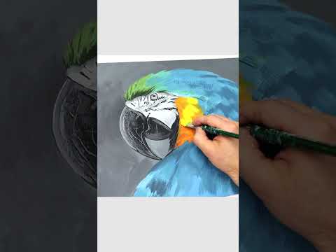 рисуем попугая акрилом