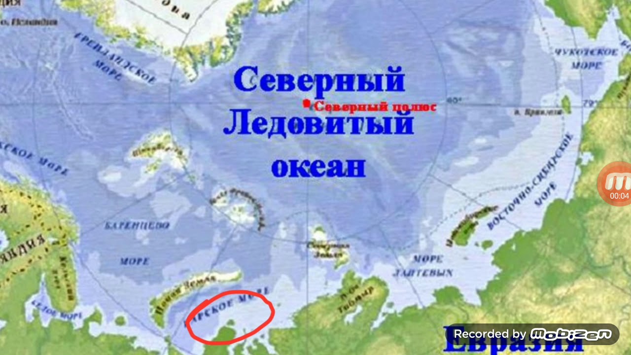 Моря северного ледовитого океана находятся на. Где находится Северный Ледовитый океан на карте. Северный Ледовитый (Арктический) океан карта. Территория Северного Ледовитого океана. Карта СЕВЕРНОЛЕДОВИТОГО океана.